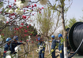 中國(guó)2014年青島世界園藝博覽會(huì)園區(qū)基礎(chǔ)設(shè)施配套項(xiàng)目電力工程